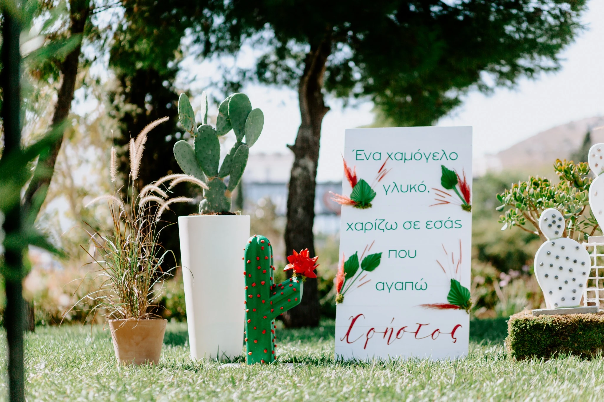 Cactus & Succulent Charm